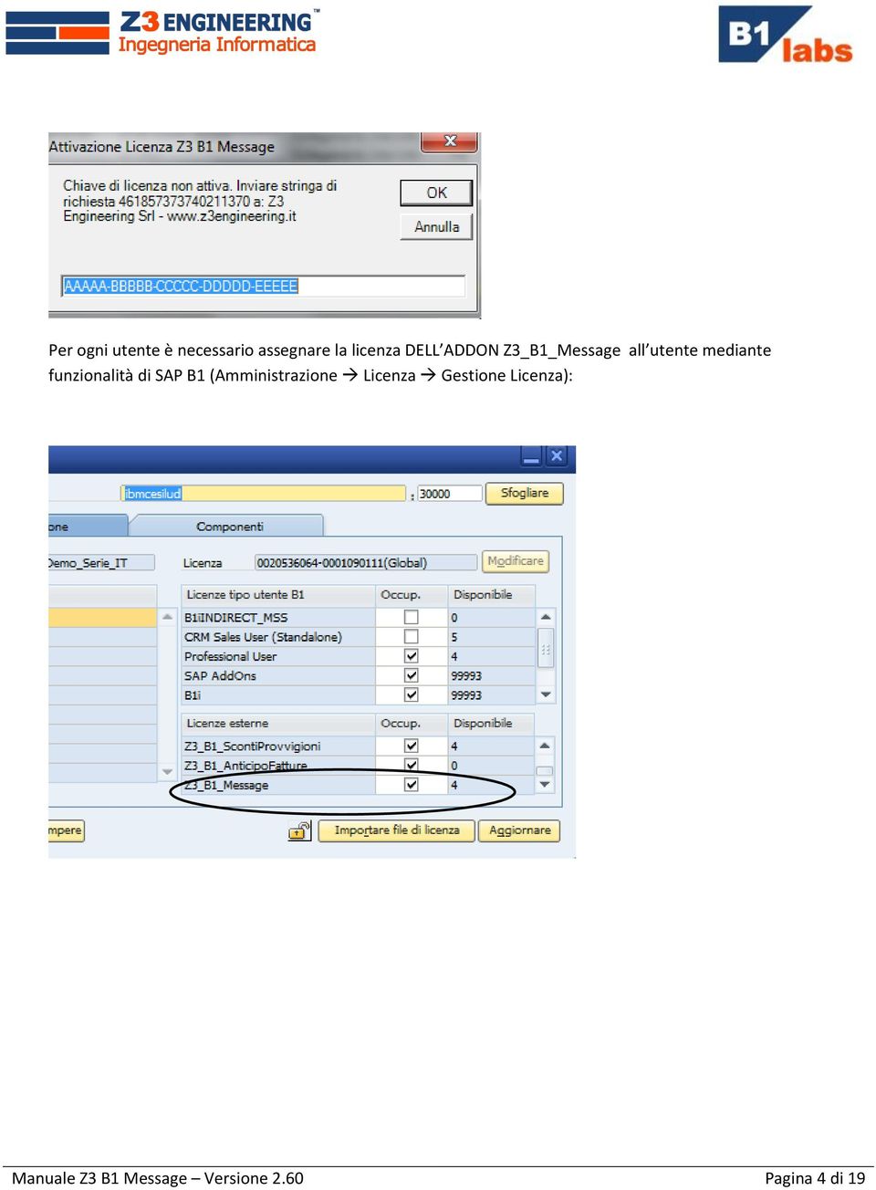 funzionalità di SAP B1 (Amministrazione Licenza