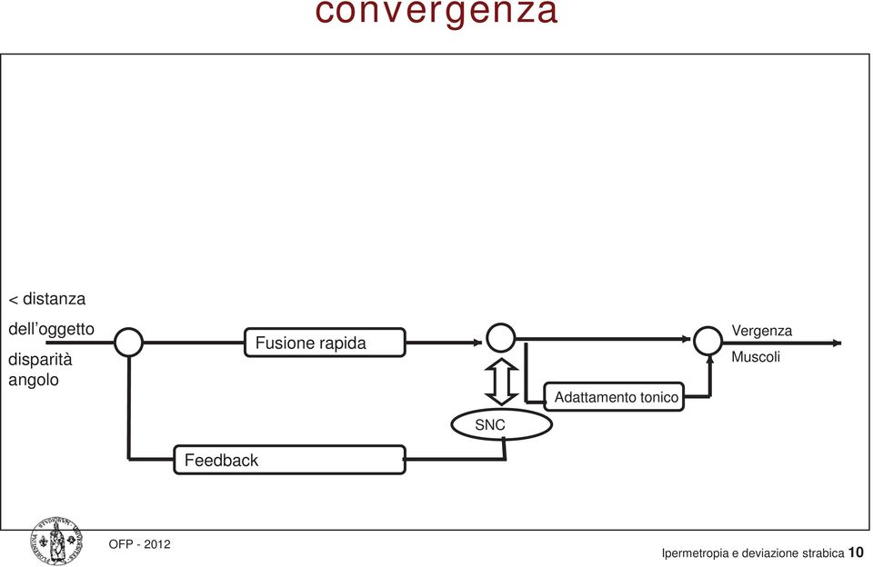 Adattamento tonico Vergenza Muscoli