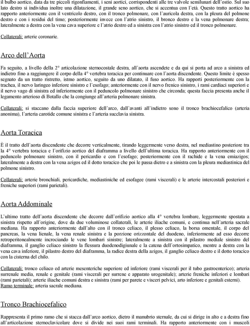 Questo tratto aortico ha rapporto anteriormente con il ventricolo destro, con il tronco polmonare, con l auricola destra, con la pleura del polmone destro e con i residui del timo; posteriormente