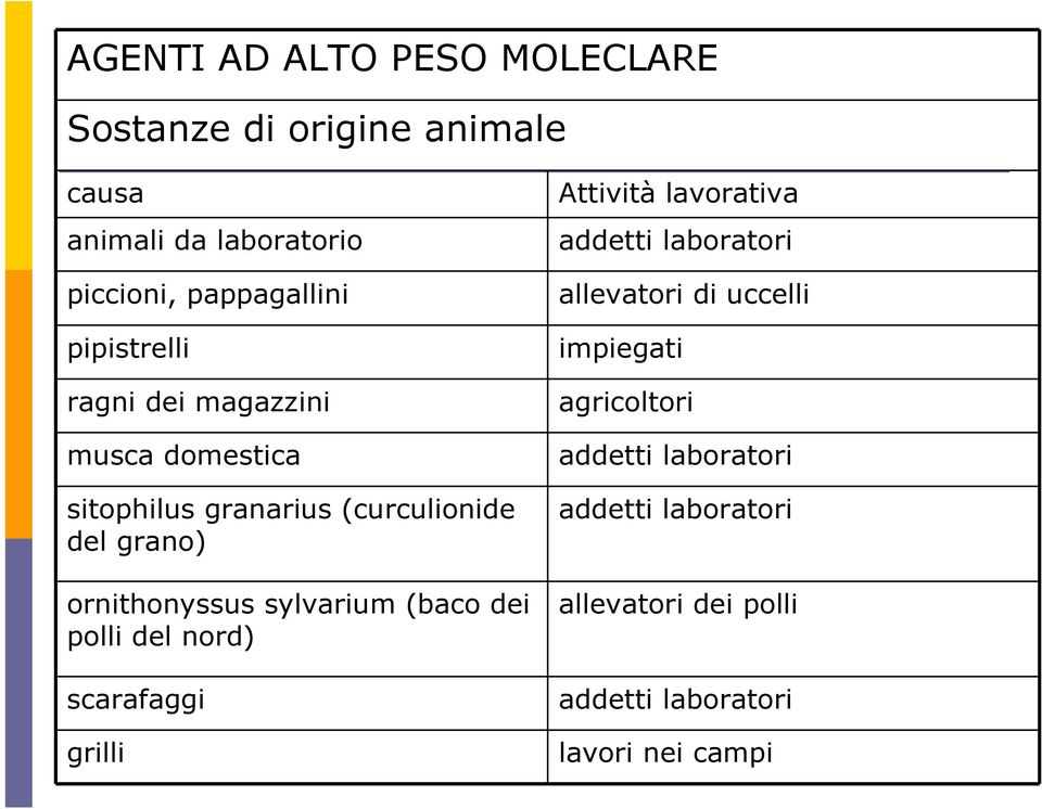 sylvarium (baco dei polli del nord) scarafaggi grilli Attività lavorativa addetti laboratori allevatori di