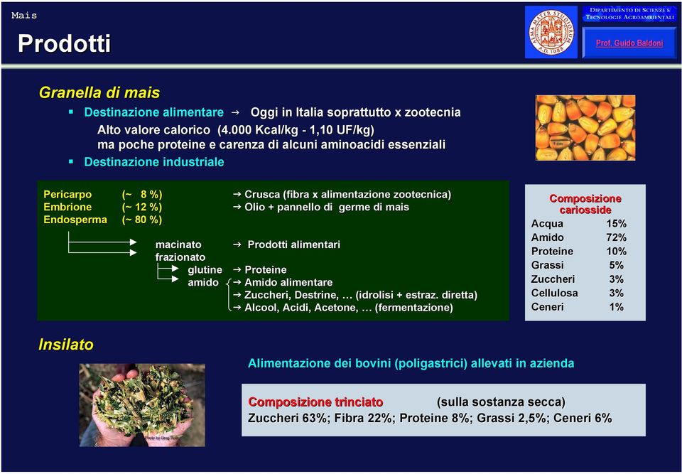 pannello di germe di mais Endosperma (~ 80 %) macinato Prodotti alimentari frazionato glutine Proteine amido Amido alimentare Zuccheri, Destrine,, (idrolisi + estraz.