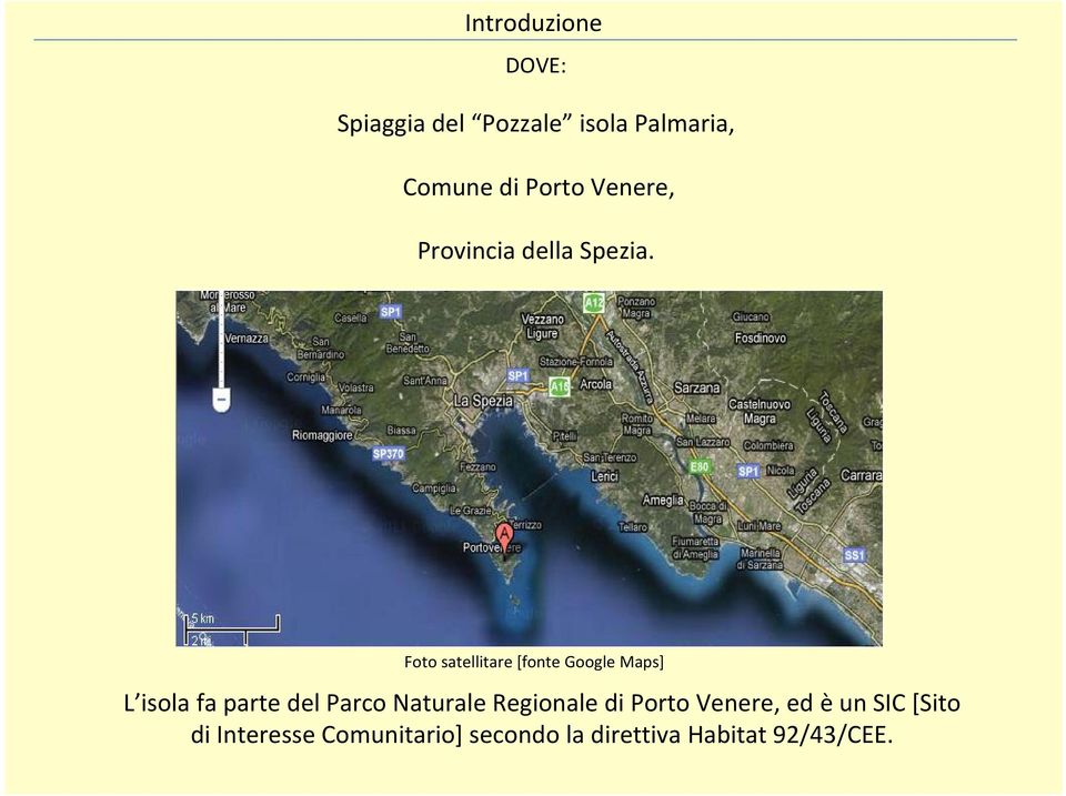 Foto satellitare [fonte Google Maps] L isola fa parte del Parco