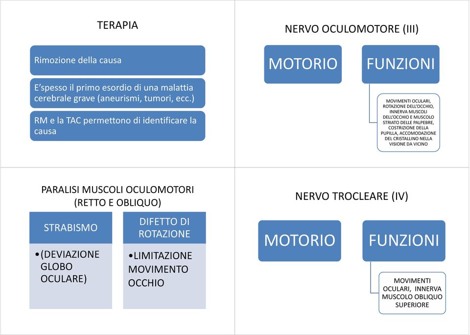 DELLE PALPEBRE, COSTRIZIONE DELLA PUPILLA, ACCOMODAZIONE DEL CRISTALLINO NELLA VISIONE DA VICINO PARALISI MUSCOLI OCULOMOTORI (RETTO E OBLIQUO)