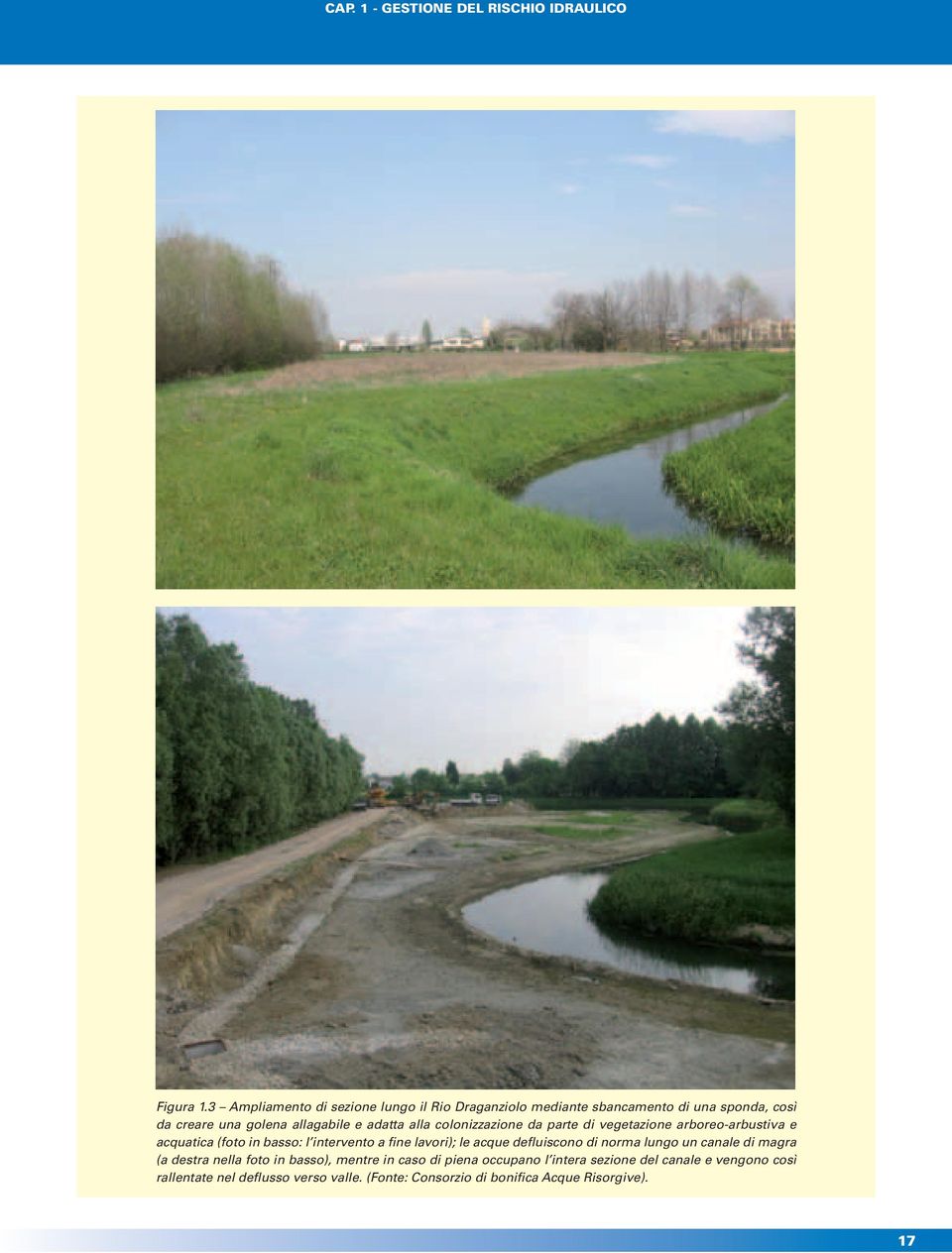 colonizzazione da parte di vegetazione arboreo-arbustiva e acquatica (foto in basso: l intervento a fine lavori); le acque defluiscono di
