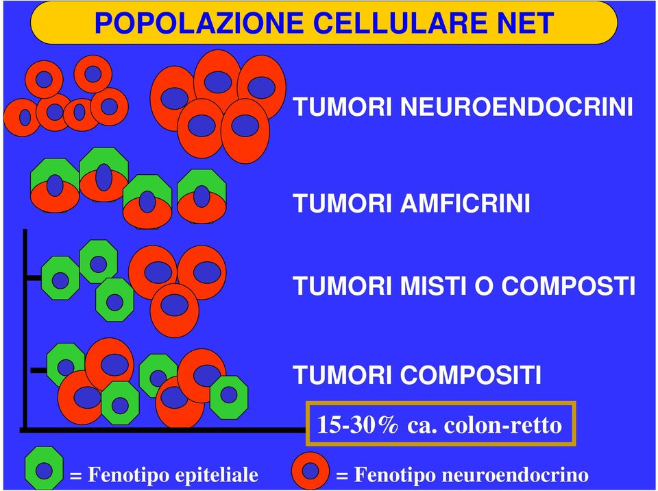 MISTI O COMPOSTI TUMORI COMPOSITI 15-30% ca.