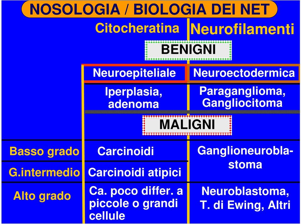 Basso grado G.intermedio Alto grado Carcinoidi Carcinoidi atipici Ca.