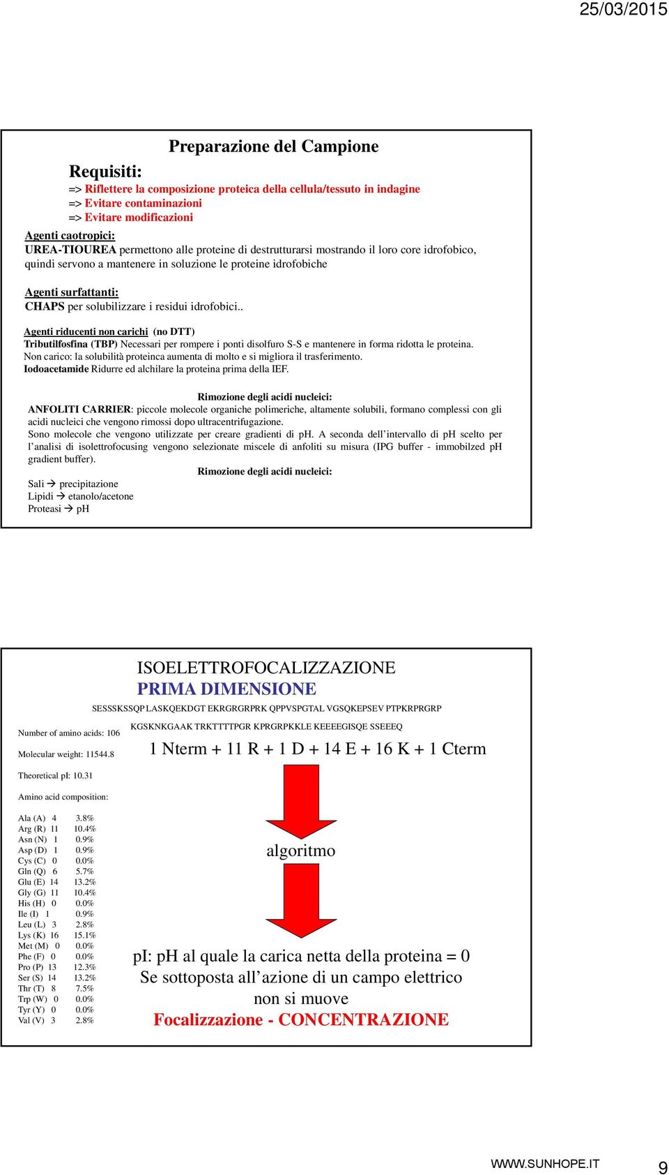 idrofobici.. Agenti riducenti non carichi (no DTT) Tributilfosfina (TBP) Necessari per rompere i ponti disolfuro S-S e mantenere in forma ridotta le proteina.