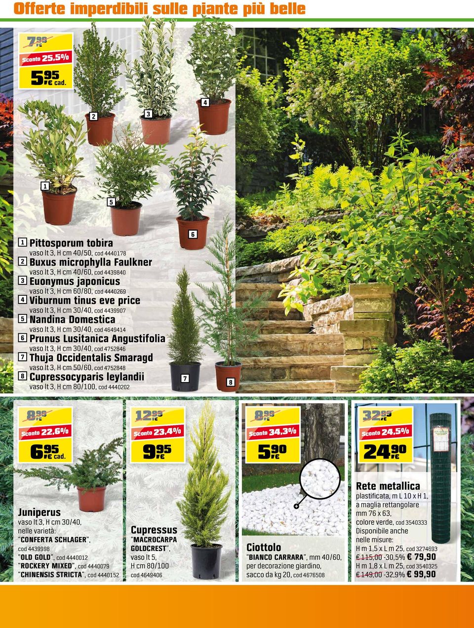 lt 3, H cm 30/40, cod 4752846 7 Thuja Occidentalis Smaragd vaso lt 3, H cm 50/60, cod 4752848 8 Cupressocyparis leylandii vaso lt 3, H cm 80/100, cod 4440202 7 6 8 8, 22,6 % 6, 12, 23,4 % 9, 23,4 %