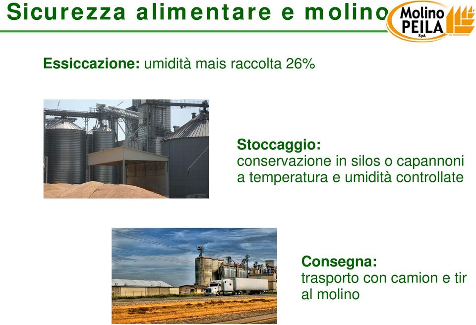 conservazione in silos o capannoni a temperatura