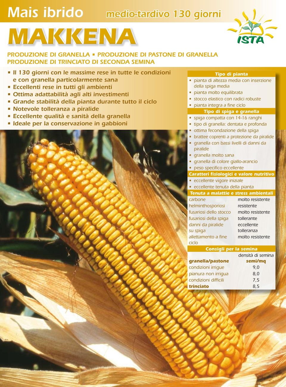 tolleranza a piralide Eccellente qualità e sanità della granella Ideale per la conservazione in gabbioni pianta di altezza media con inserzione della spiga media pianta molto equilibrata stocco