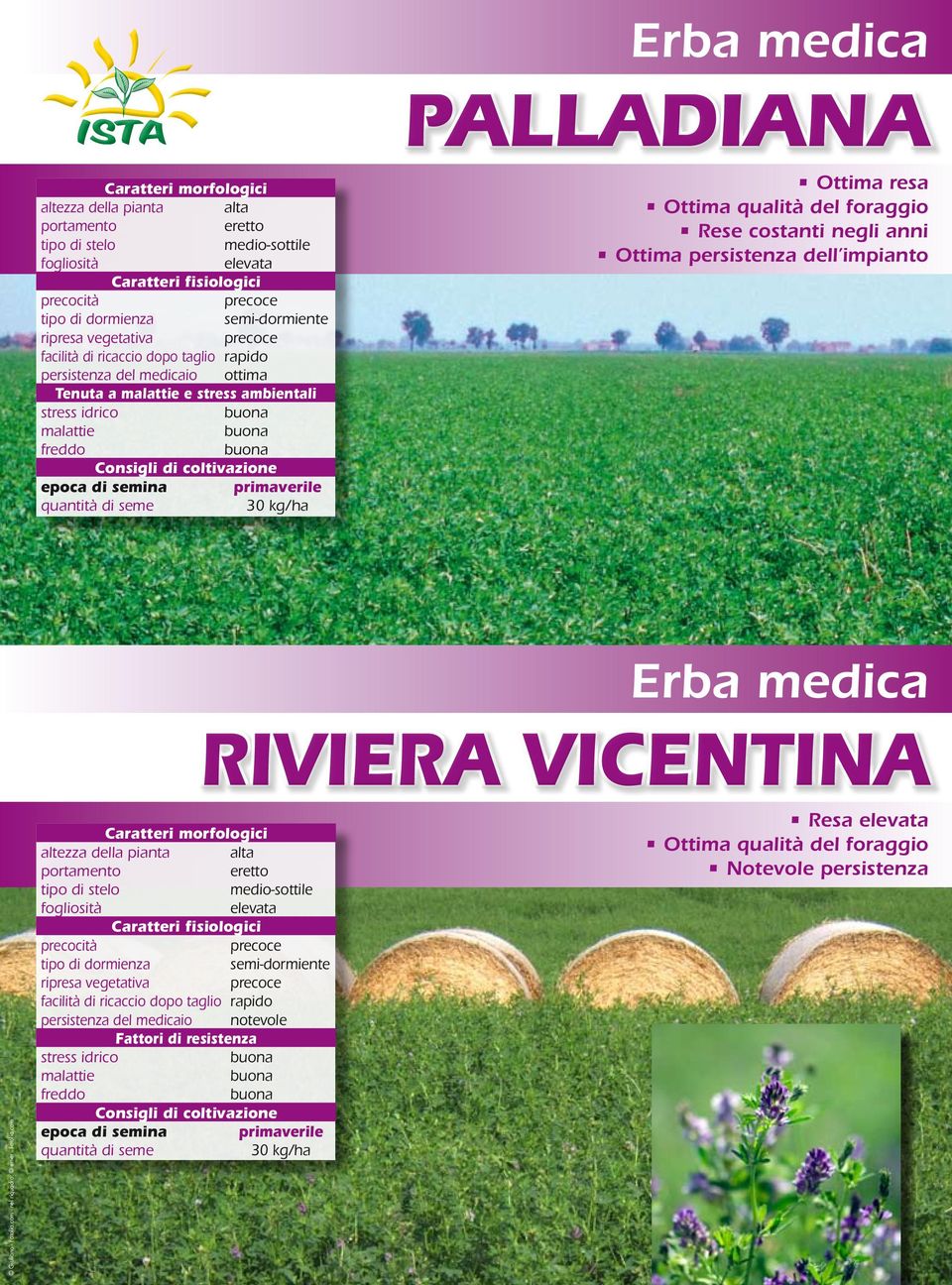 quantità di seme 30 kg/ha Ottima resa Ottima qualità del foraggio Rese costanti negli anni Ottima persistenza dell impianto Erba medica RIVIERA VICENTINA Giuliano - Fotolia.