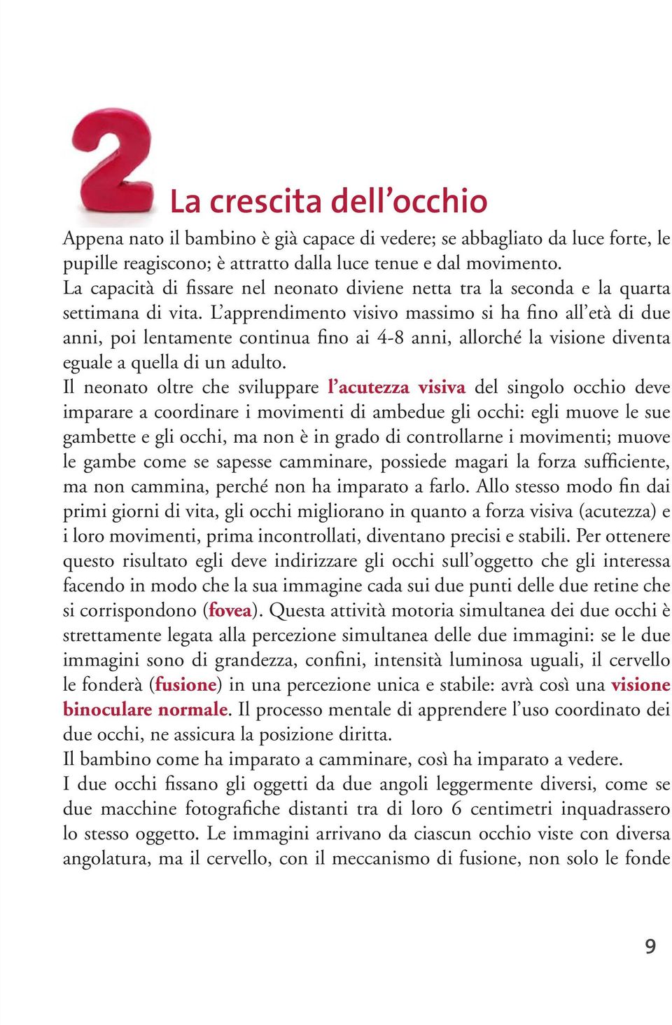 L apprendimento visivo massimo si ha fino all età di due anni, poi lentamente continua fino ai 4-8 anni, allorché la visione diventa eguale a quella di un adulto.