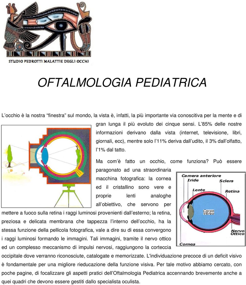 Ma com è fatto un occhio, come funziona?