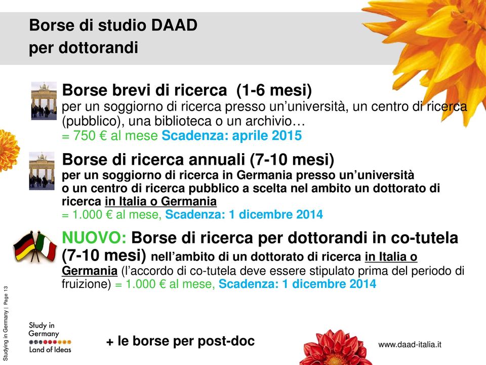 pubblico a scelta nel ambito un dottorato di ricerca in Italia o Germania = 1.