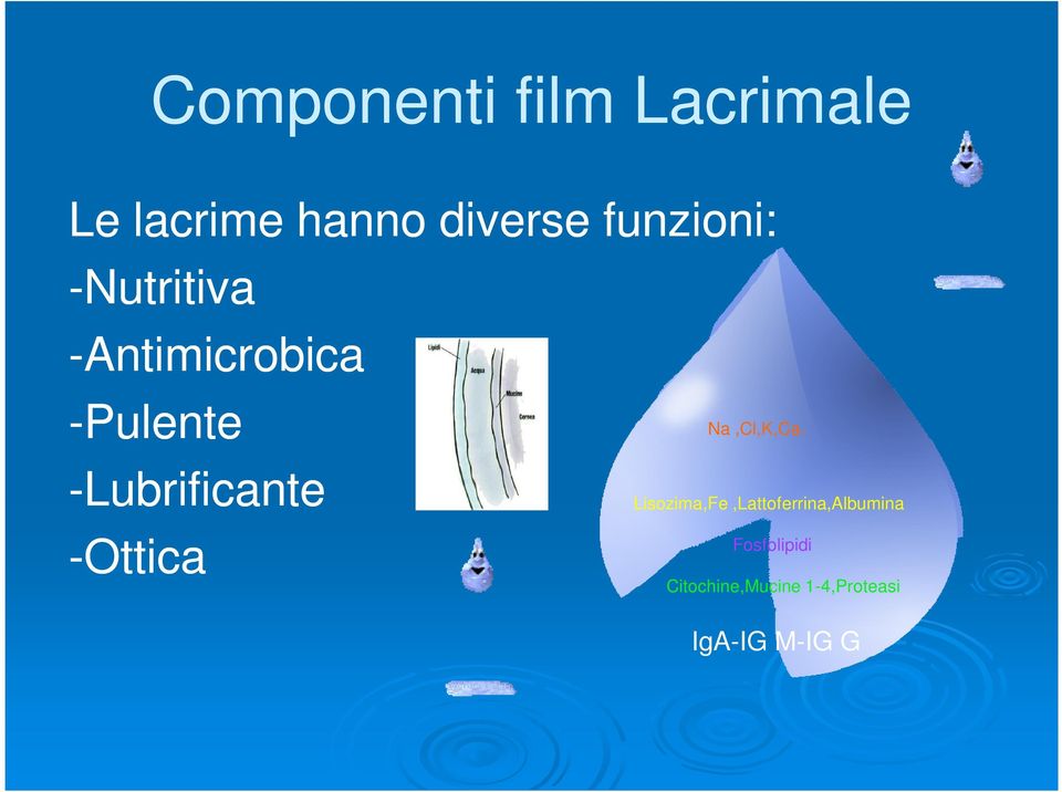 -Lubrificante -Ottica Na,Cl,K,Ca.