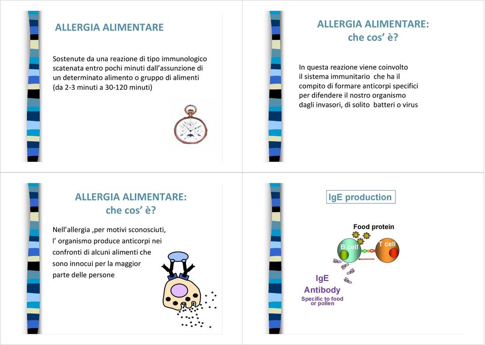 In questa reazione viene coinvolto il sistema immunitario che ha il compito di formare anticorpi specifici per difendere il nostro organismo dagli invasori, di solito