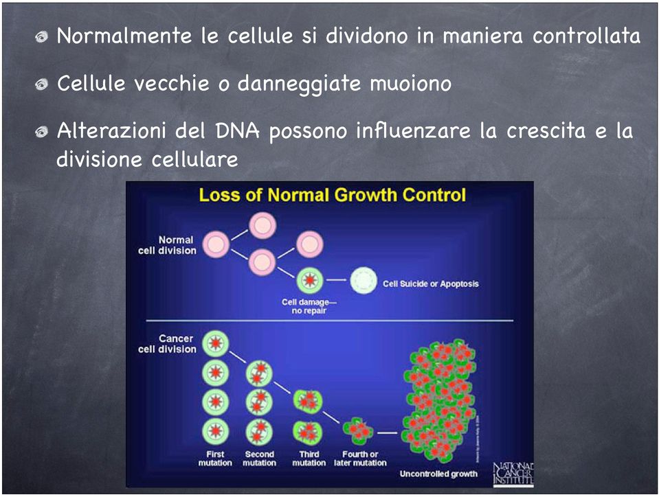 danneggiate muoiono Alterazioni del DNA