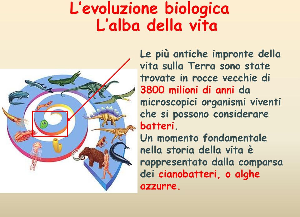 organismi viventi che si possono considerare batteri.