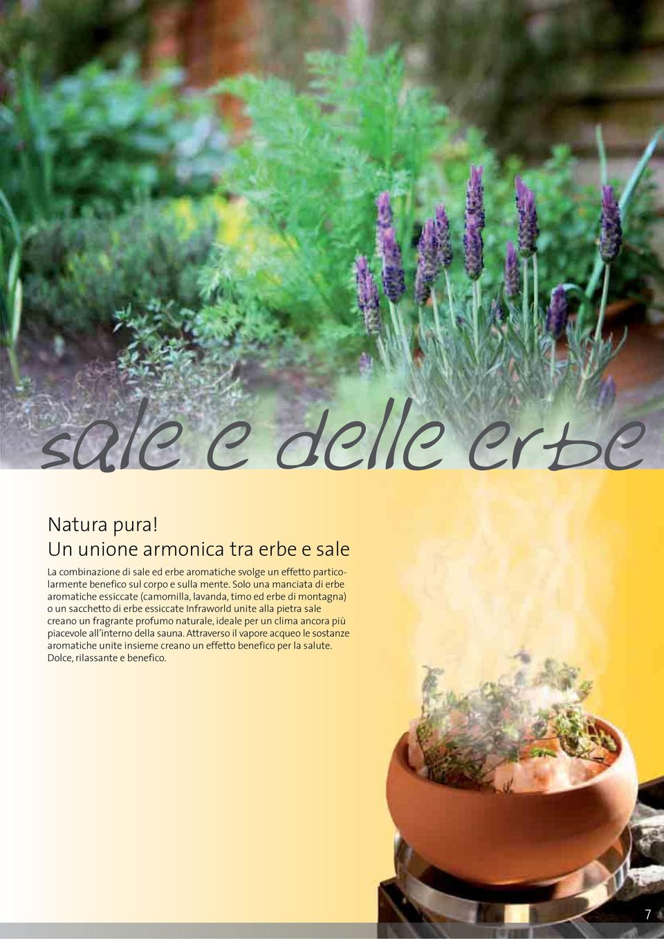 Solo una manciata di erbe aromatiche essiccate (camomilla, lavanda, timo ed erbe di montagna) o un sacchetto di erbe essiccate Infraworld unite