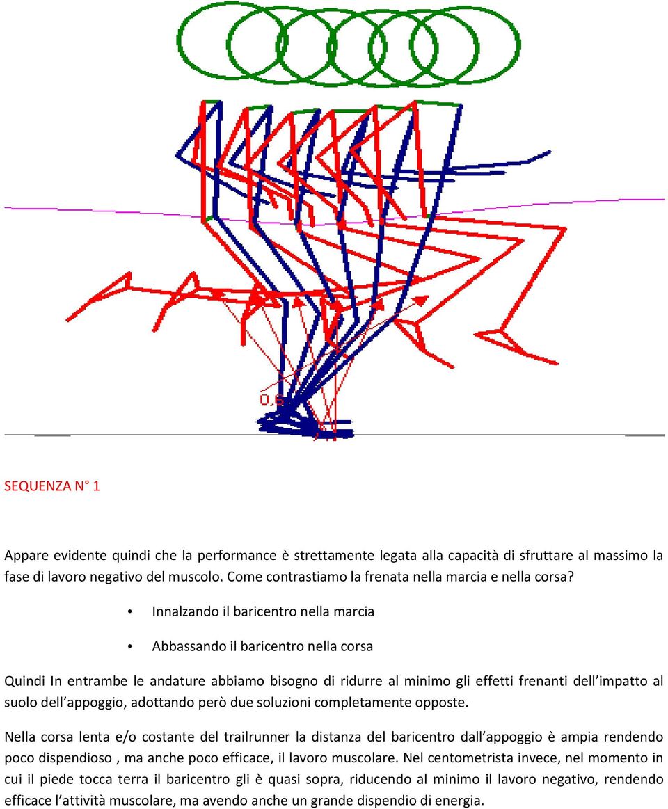 Innalzando il baricentro nella marcia Abbassando il baricentro nella corsa Quindi In entrambe le andature abbiamo bisogno di ridurre al minimo gli effetti frenanti dell impatto al suolo dell