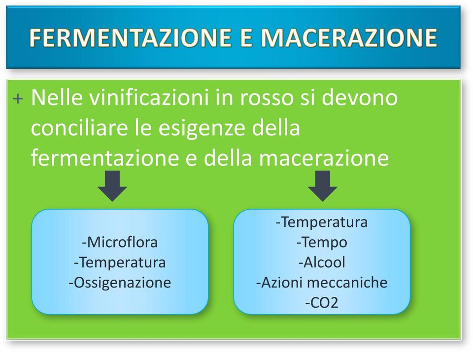 della macerazione -Microflora -Temperatura