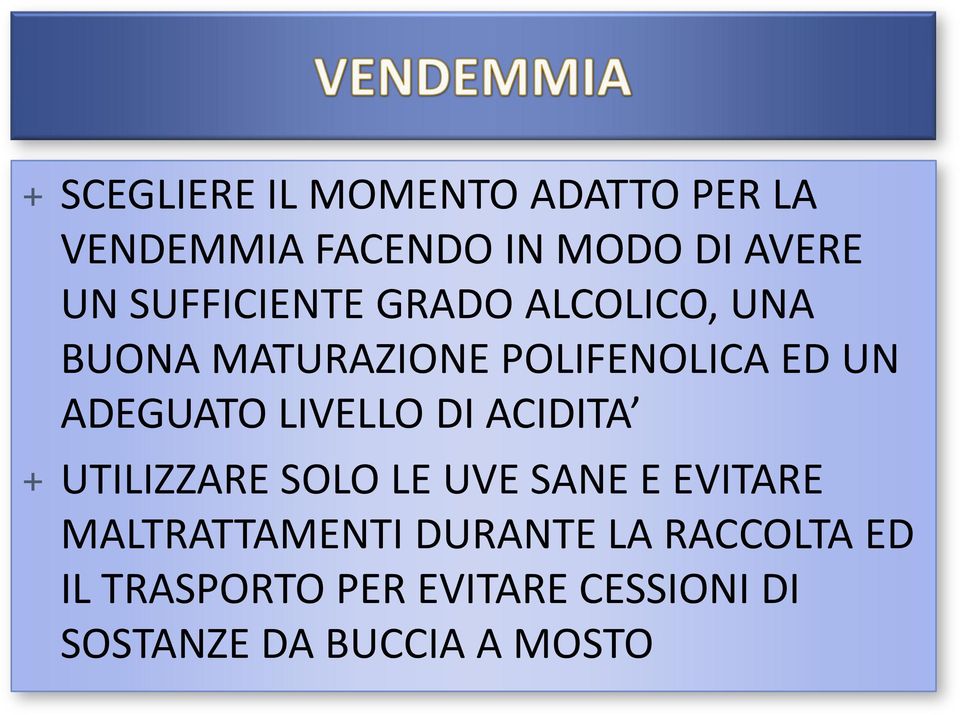 LIVELLO DI ACIDITA + UTILIZZARE SOLO LE UVE SANE E EVITARE MALTRATTAMENTI