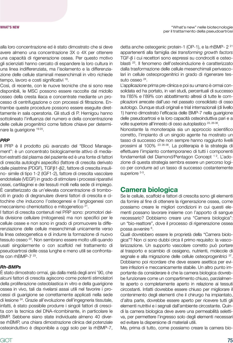 Quali dovrebbero essere le proprietà della Camera biologica? Non ci sono dubbi circa il primo requisito: la vascolarizzazione.