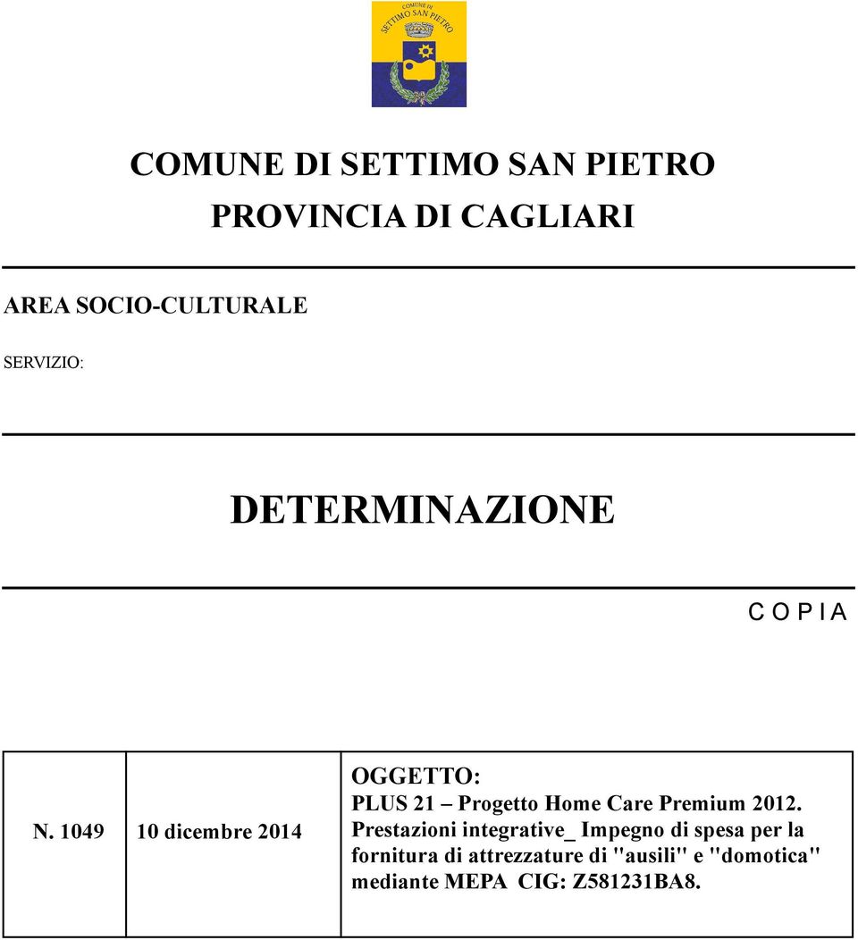 1049 10 dicembre 2014 OGGETTO: PLUS 21 Progetto Home Care Premium 2012.