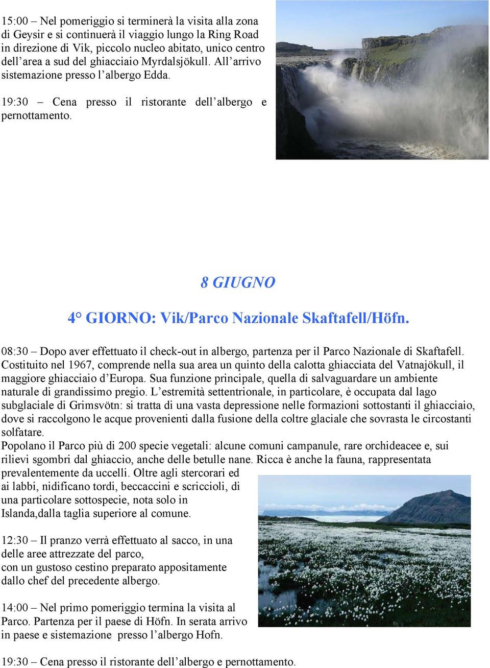 08:30 Dopo aver effettuato il check-out in albergo, partenza per il Parco Nazionale di Skaftafell.