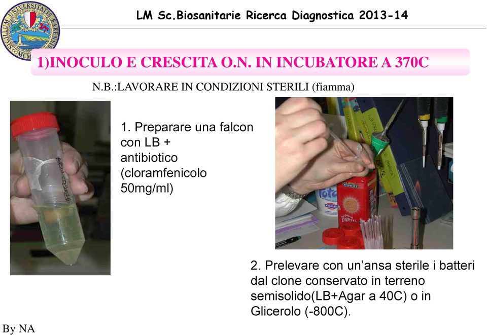 Preparare una falcon con LB + antibiotico (cloramfenicolo 50mg/ml) 2.