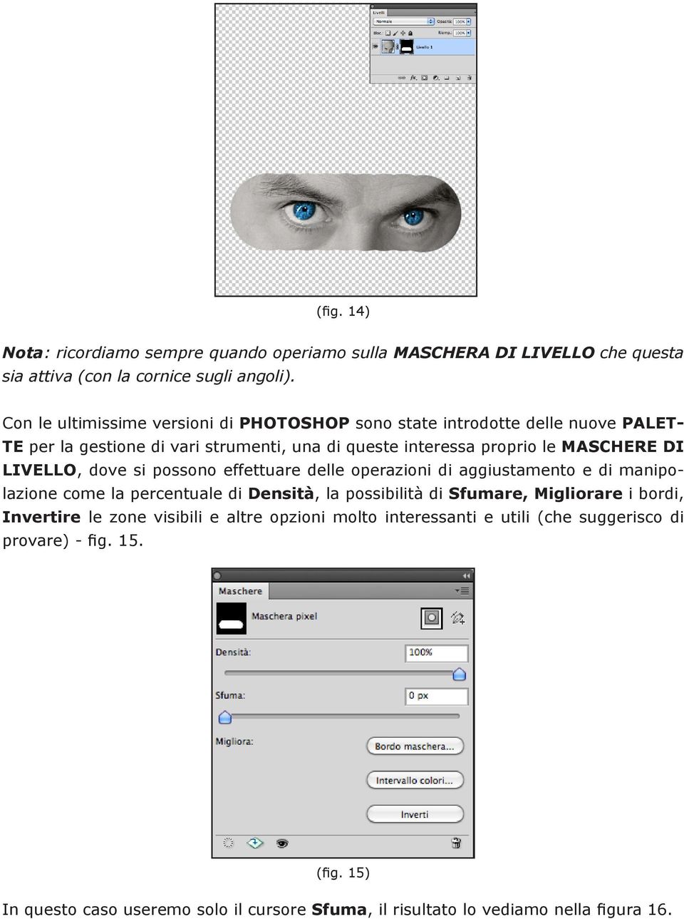 LIVELLO, dove si possono effettuare delle operazioni di aggiustamento e di manipolazione come la percentuale di Densità, la possibilità di Sfumare, Migliorare i bordi,