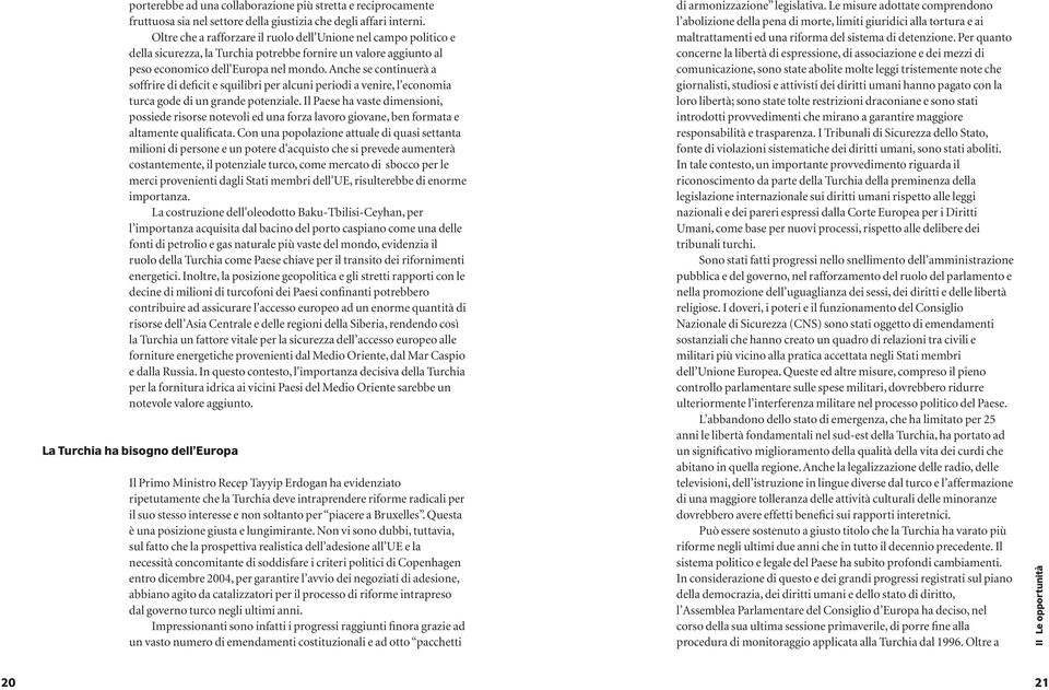 Anche se continuerà a soffrire di deficit e squilibri per alcuni periodi a venire, l'economia turca gode di un grande potenziale.