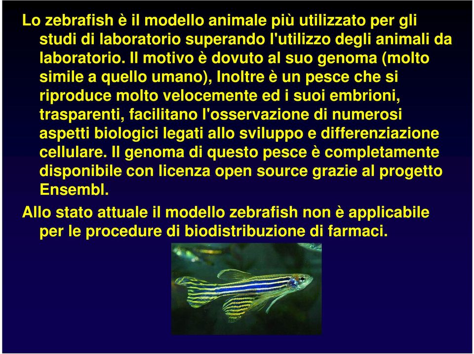 trasparenti, facilitano l'osservazione di numerosi aspetti biologici legati allo sviluppo e differenziazione cellulare.