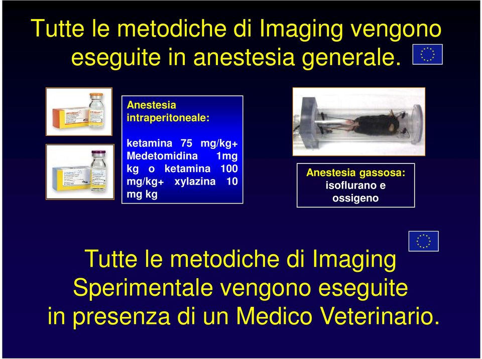 100 mg/kg+ xylazina 10 mg kg Anestesia gassosa: isoflurano e ossigeno Tutte le