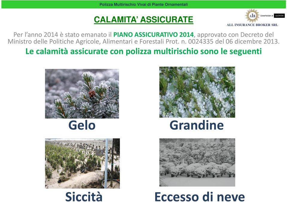 Alimentari e Forestali Prot. n. 0024335 del 06 dicembre 2013.