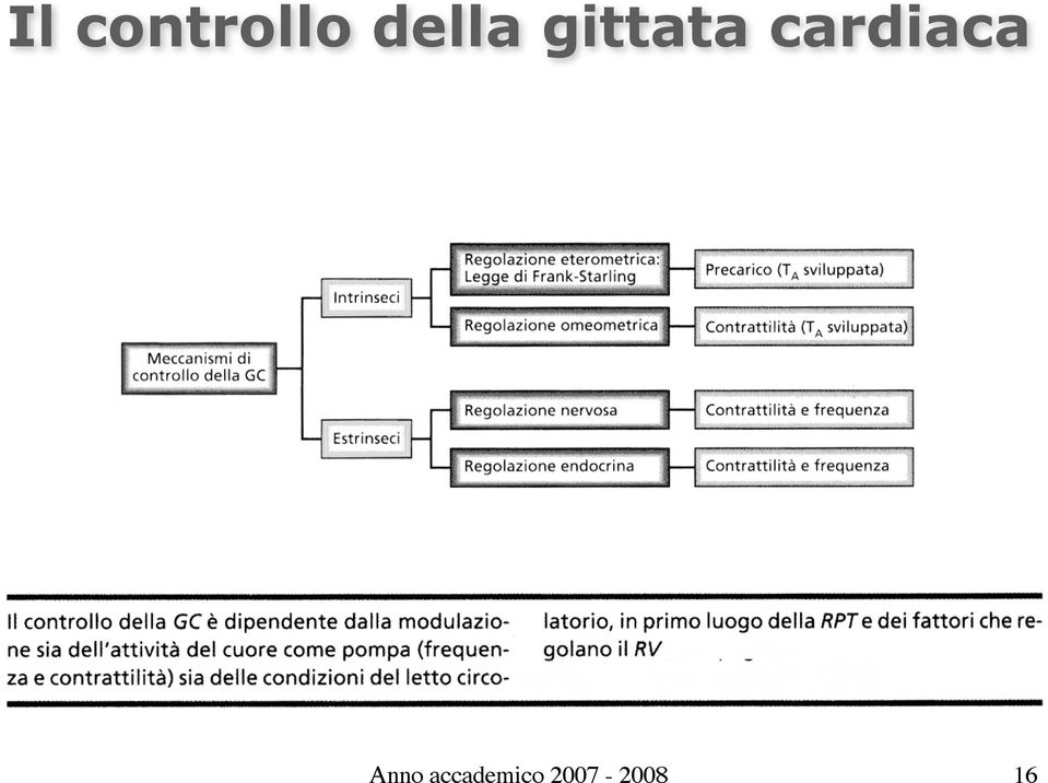 cardiaca Anno