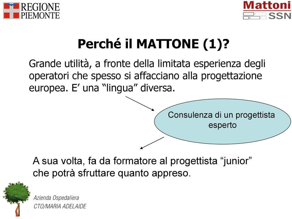 spesso si affacciano alla progettazione europea. E una lingua diversa.