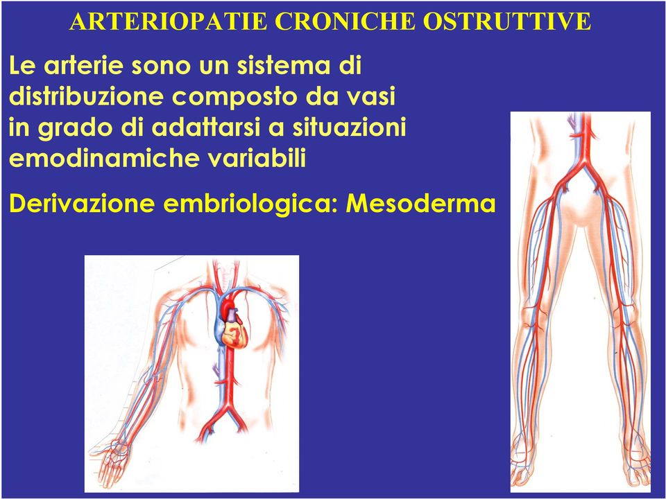 vasi in grado di adattarsi a situazioni