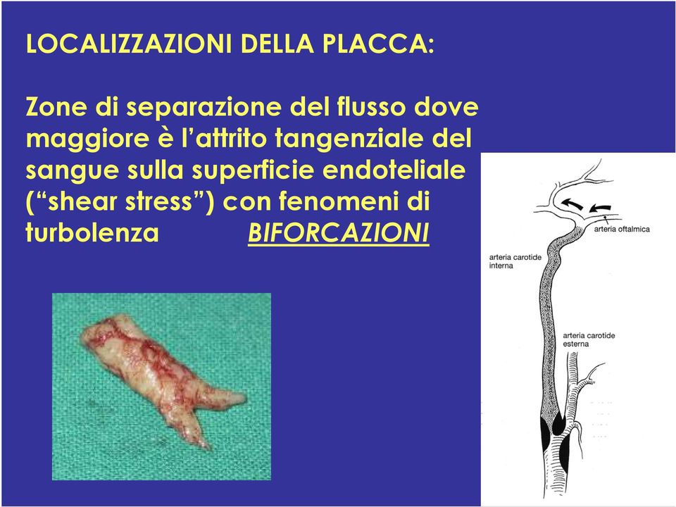 del sangue sulla superficie endoteliale ( shear