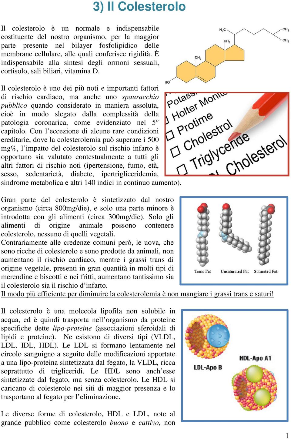 Il colesterolo è uno dei più noti e importanti fattori di rischio cardiaco, ma anche uno spauracchio pubblico quando considerato in maniera assoluta, cioè in modo slegato dalla complessità della