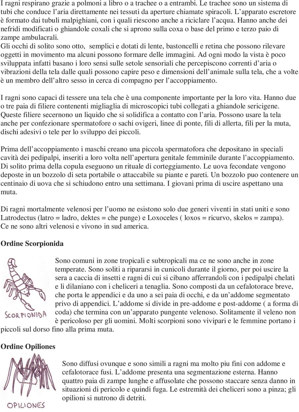 Hanno anche dei nefridi modificati o ghiandole coxali che si aprono sulla coxa o base del primo e terzo paio di zampe ambulacrali.