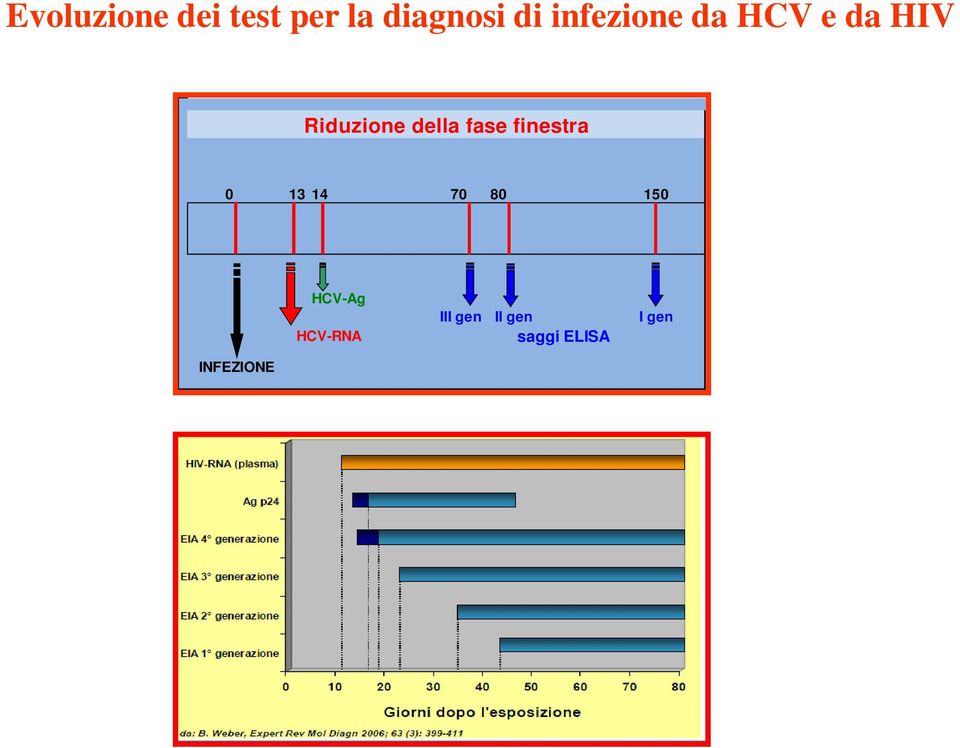 fase finestra 0 13 14 70 80 150 HCV-Ag