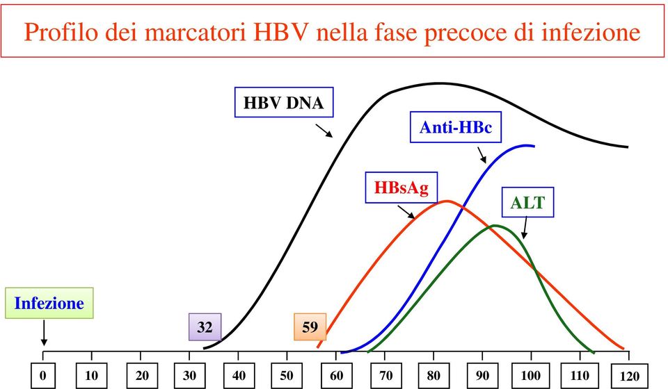 Anti-HBc HBsAg ALT Infezione 32 59