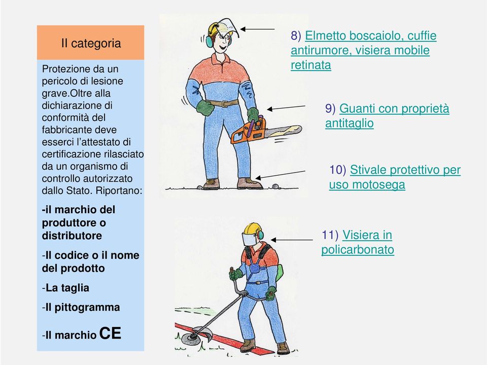 controllo autorizzato dallo Stato.