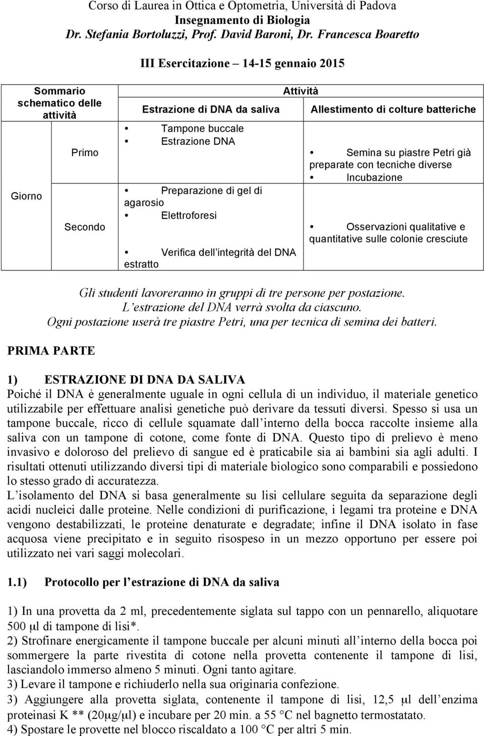 agarosio Elettroforesi Verifica dell integrità del DNA estratto Attività Allestimento di colture batteriche Semina su piastre Petri già preparate con tecniche diverse Incubazione Osservazioni