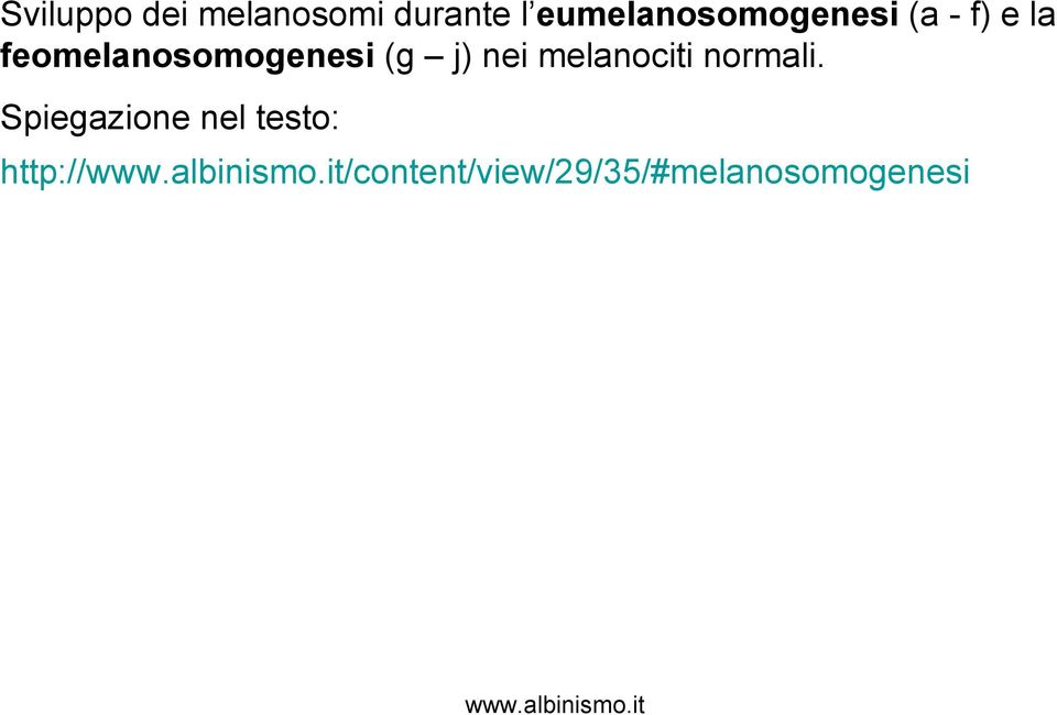 feomelanosomogenesi (g j) nei melanociti