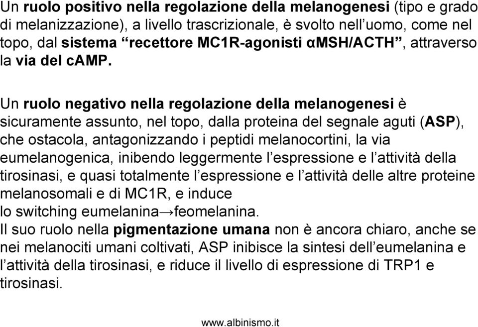 Un ruolo negativo nella regolazione della melanogenesi è sicuramente assunto, nel topo, dalla proteina del segnale aguti (ASP), che ostacola, antagonizzando i peptidi melanocortini, la via