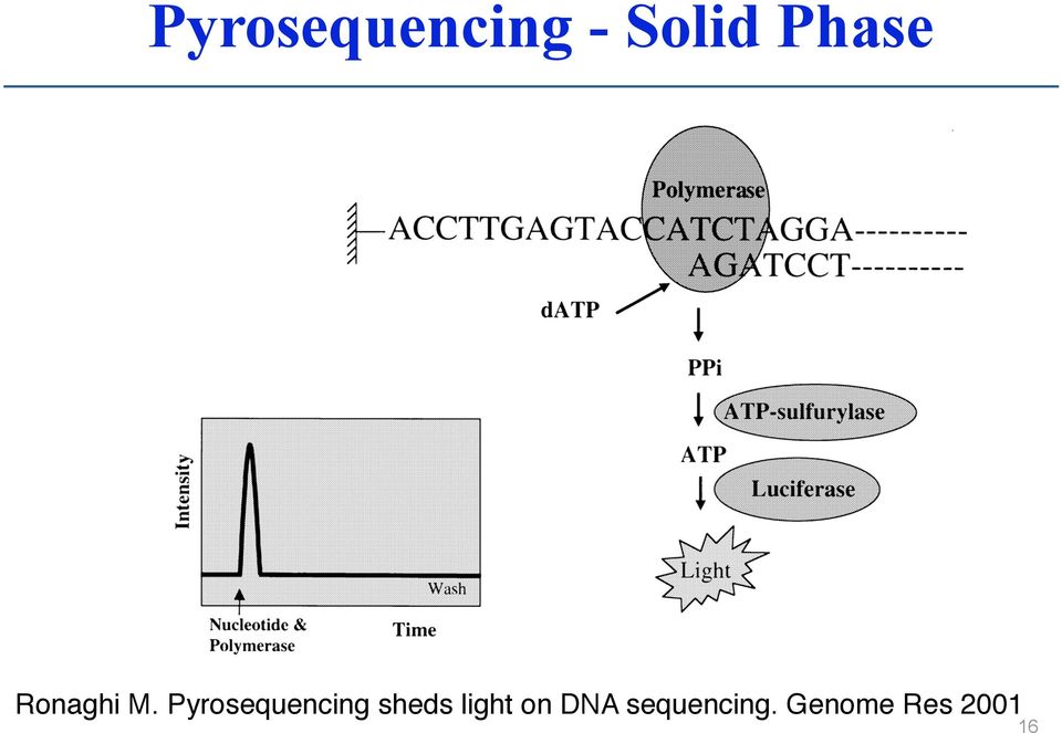 Pyrosequencing sheds