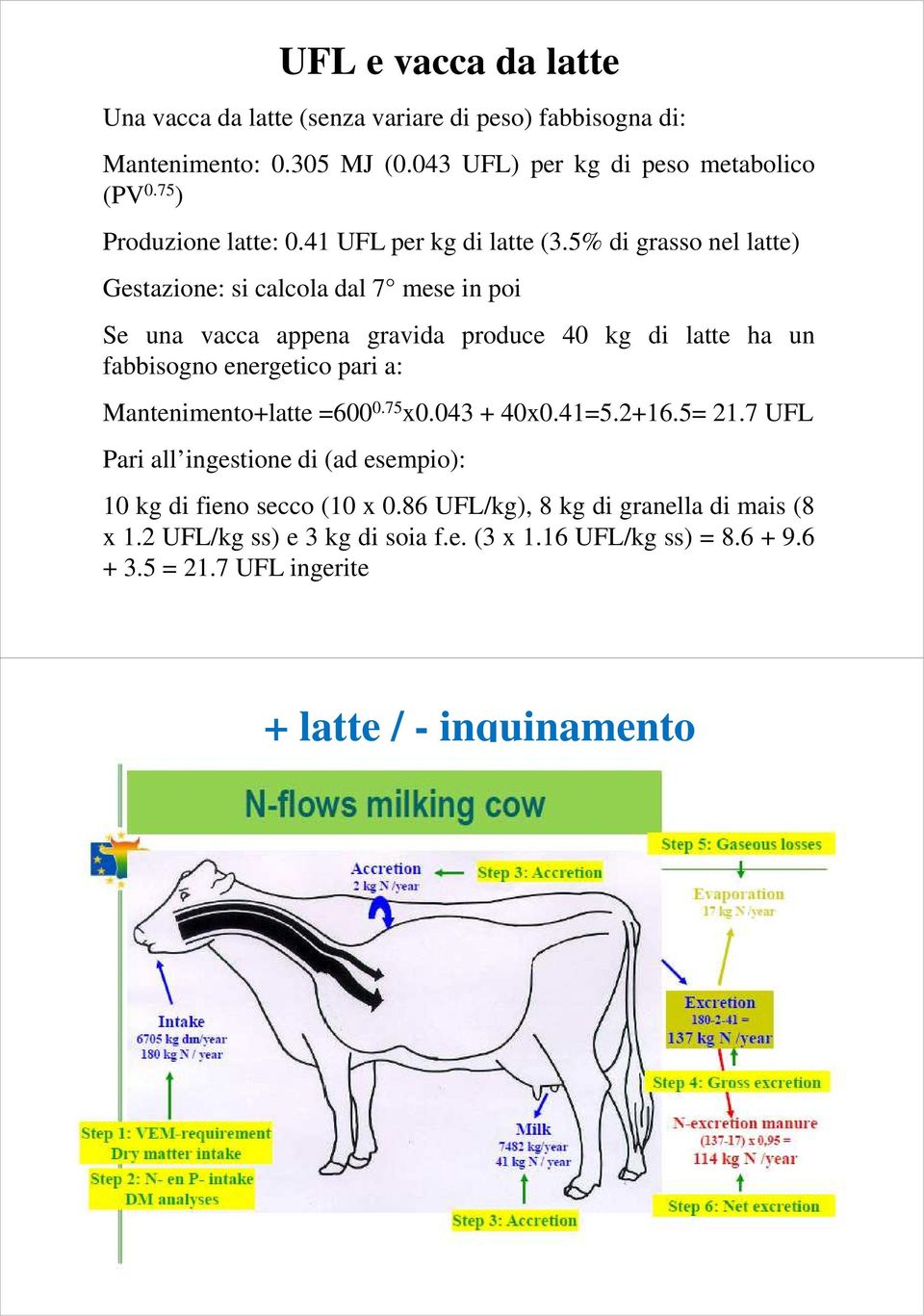 5% di grasso nel latte) Gestazione: si calcola dal 7 mese in poi Se una vacca appena gravida produce 40 kg di latte ha un fabbisogno energetico pari a: