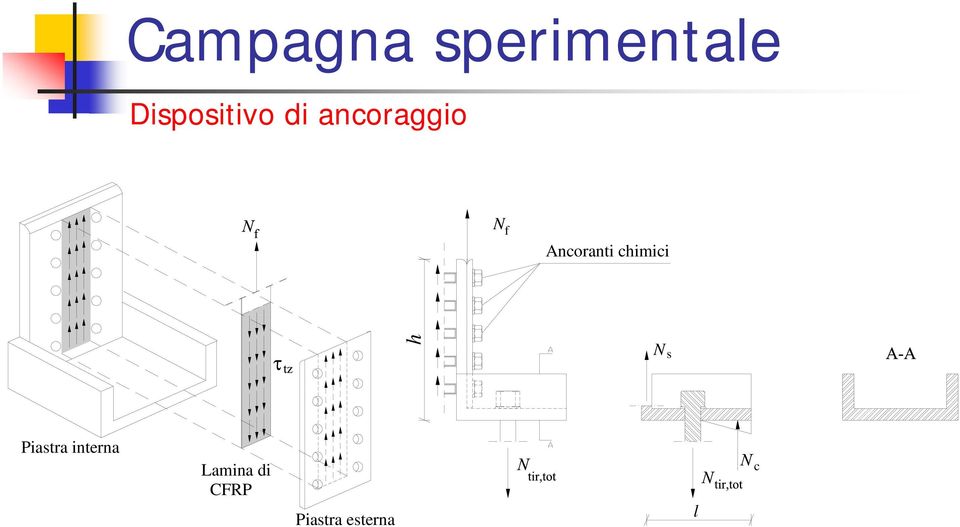 s Piastra interna Lamina